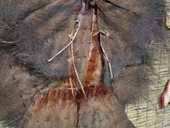 -鱼窝棚柴火铁锅炖(富山屯店)