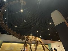 -衢州市博物馆