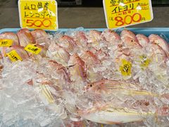 -南纪白浜Toretore市场