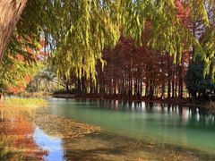 -贡湖湾湿地公园