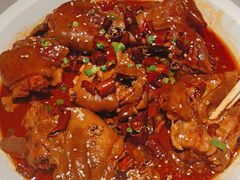 香辣美容蹄-雲蜀龙阁·金牌水煮鱼(方庄店)