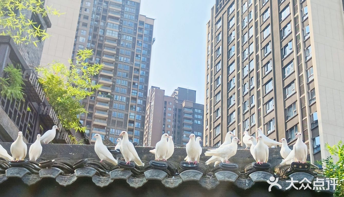 随手拍|放肆出片的摩登城市