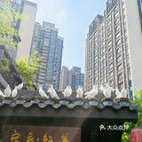 随手拍|放肆出片的摩登城市