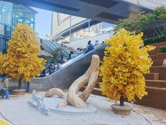 -石家庄万象城