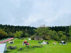 -武陵山森林公园