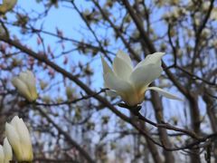 -首都师范大学(良乡校区)