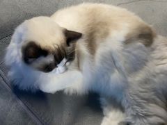 -零纪元VR体验馆·桌游(黄浦店)