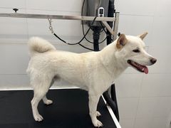 -comecome来吧宠物(奥克斯中心店)