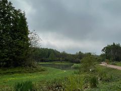 -桤木河湿地公园