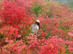 -瑞安圣井山景区