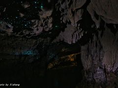 -怀托摩萤火虫洞