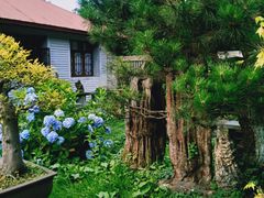 -庐山风景区花径公园