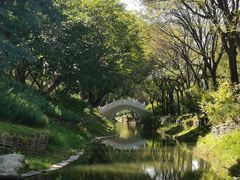 -北坞公园