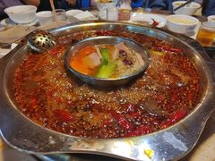 -九尺赵老四鲜鹅肠火锅