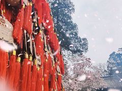 -潭柘寺景区