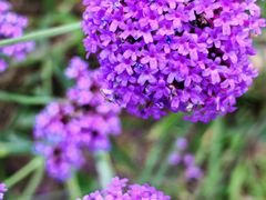 -云峰山自然风景区