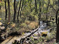 -玉渡山自然风景区