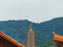 -深圳仙湖植物园