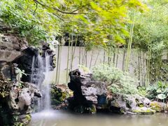 -上海醉白池公园