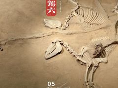 -洛阳周王城天子驾六博物馆