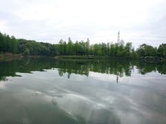 -梁鸿国家湿地公园