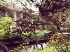 小桥流水〜-上海瑞金洲际酒店