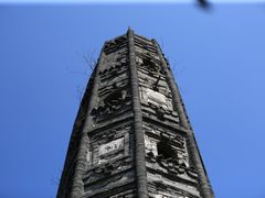 -上海佘山国家森林公园天马山园