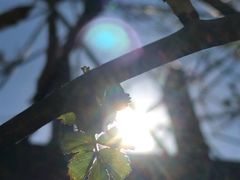 -芍药居北里