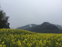 -新安江山水画廊风景区