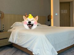 -广州粤海喜来登酒店