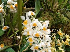 -南通洲际绿博园