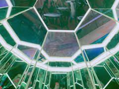 -上海梵高星空艺术馆(南京路旗舰店)