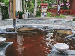 -碧水湾温泉