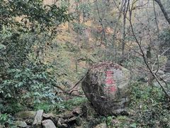 -波尔登森林公园