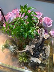 点击看大图 -Lumi露米·美甲美睫品质店