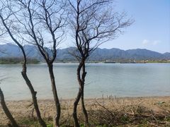 -东梓关景区村庄