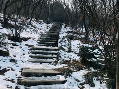-北岭山森林公园