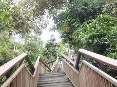 -三亚亚龙湾人间天堂鸟巢度假村