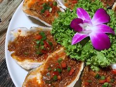 -鱼乐乐(Happy Fish)