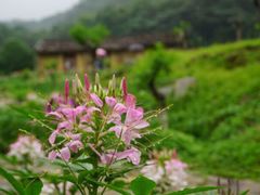 -广州市石门国家森林公园