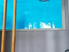 -上海潜殿潜水中心