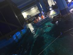 -暹罗海洋世界
