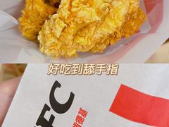 烤翅-肯德基(欢乐港湾店)