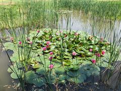 -武汉紫薇都市田园