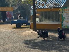 -前小桔亲子创意农场·草莓采摘·露营烧烤