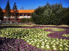 -成都驻京办餐厅(蜀都宾馆店)