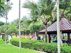 -三亚海棠湾万丽度假酒店