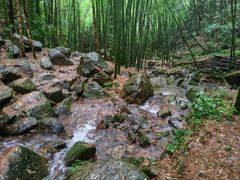 -莫干山风景区
