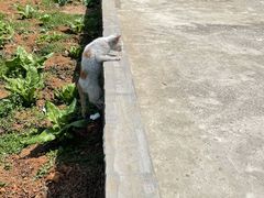 -安安宠物医院(佳林路分院)