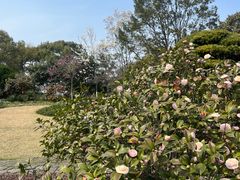 -浙江西子宾馆·瑶园咖啡厅